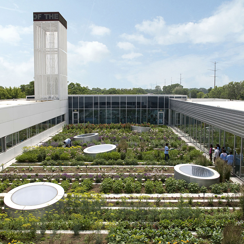 Gary Comer Youth Center Roof Garden case study page