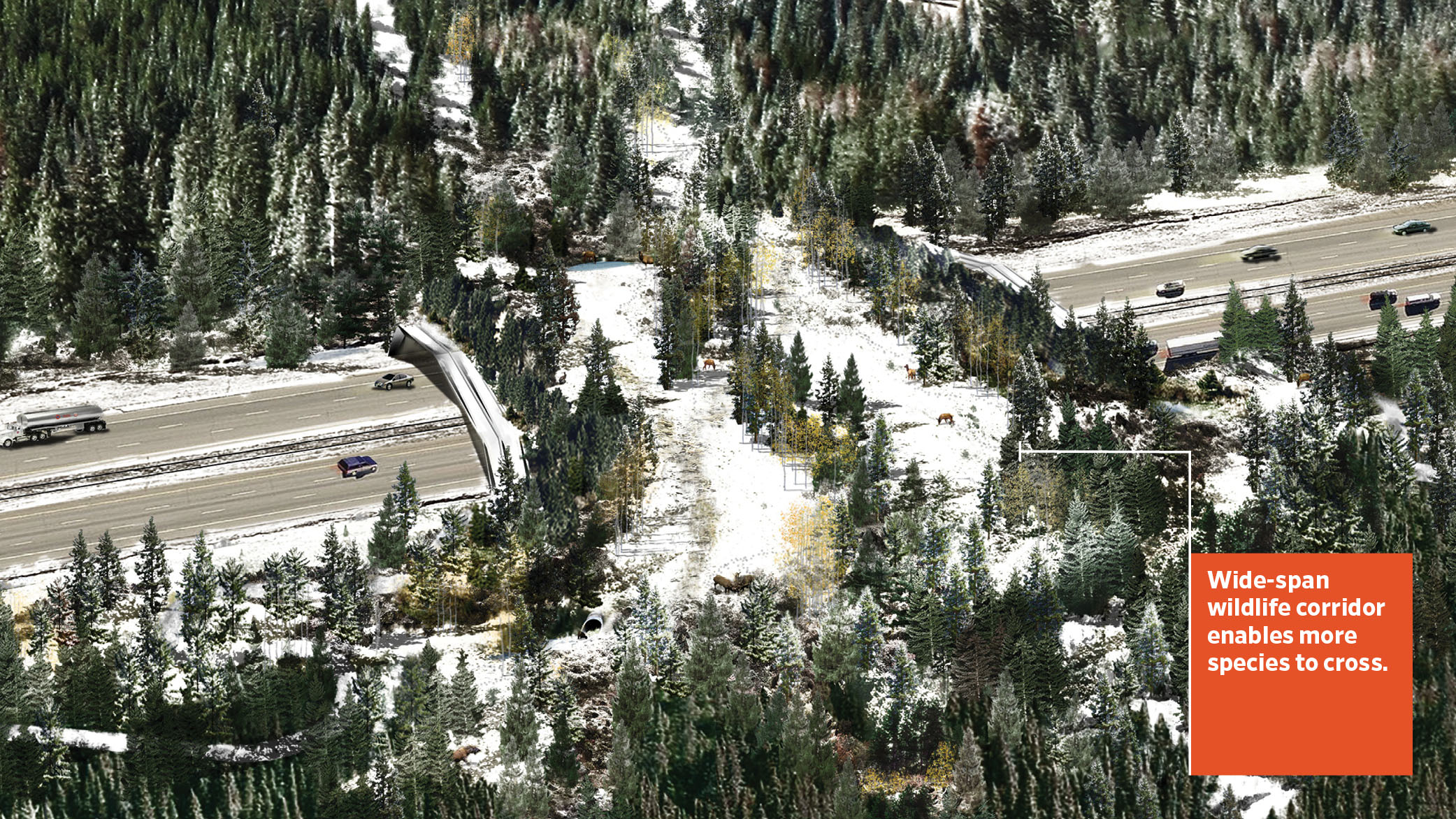 A rendering of the wide-span Hypar-Nature wildlife crossing in West Vail Pass, Colorado. The crossing covers a multi-lane highway and enables multiple species to cross in safety.