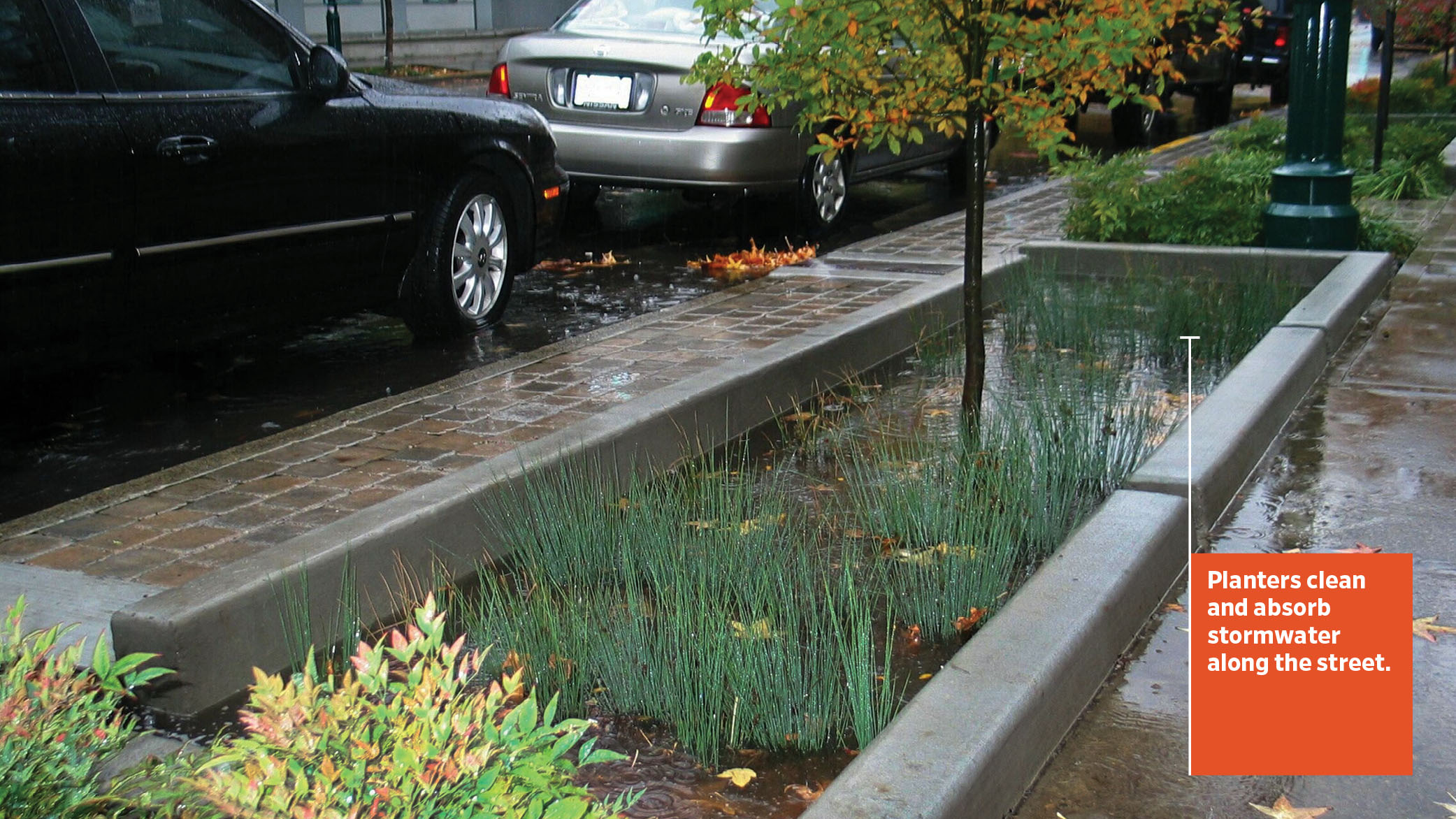 Each stormwater planter captures runoff to a depth of six inches until it flows back out into the street and is collected in the next downhill planter.