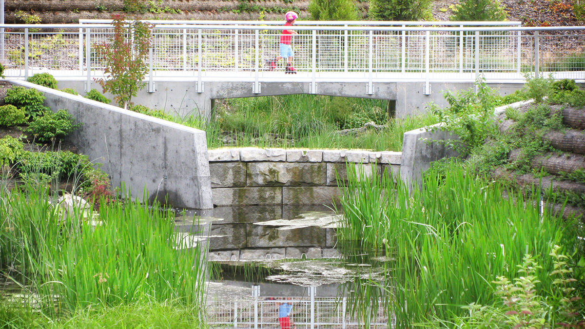 A child roller skates across a bridge spanning the Thornton Creek Water Quality Channel. With the channel, a variety of native grasses grow alongside the banks of the water body.