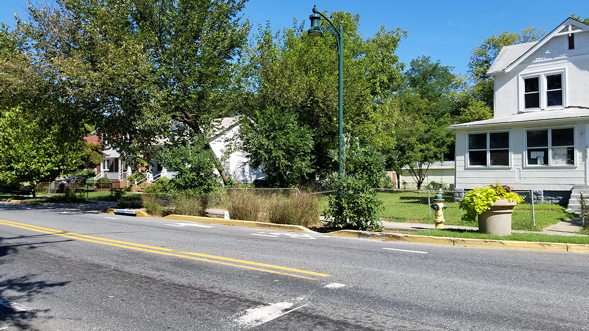 Alongside Decatur Avenue, trees and bioretention systems capture and cleanse stormwater runoff.