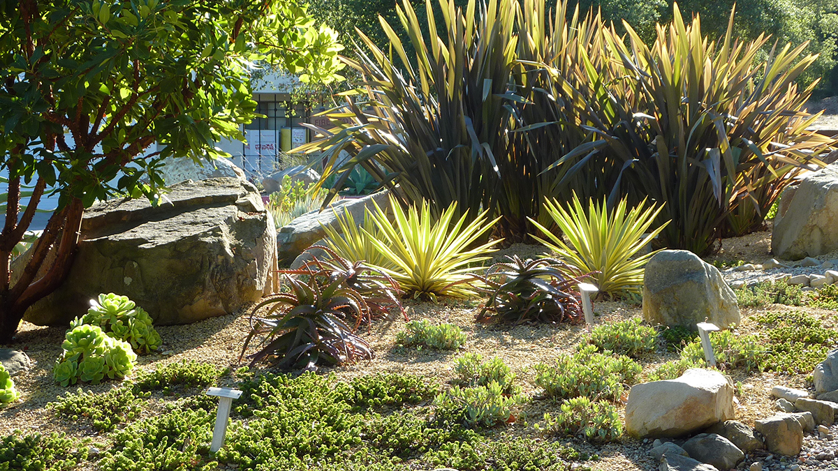 Interior of the Firescape Demonstration Garden.