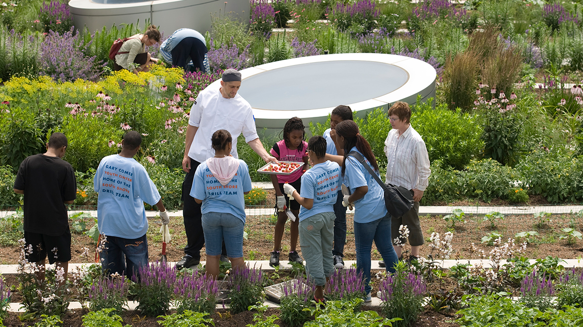 The working garden provides fresh produce for on-site cooking classes as well as meal preparation at the center’s café and other local restaurants. Local food production is crucial for building self-sustaining communities.