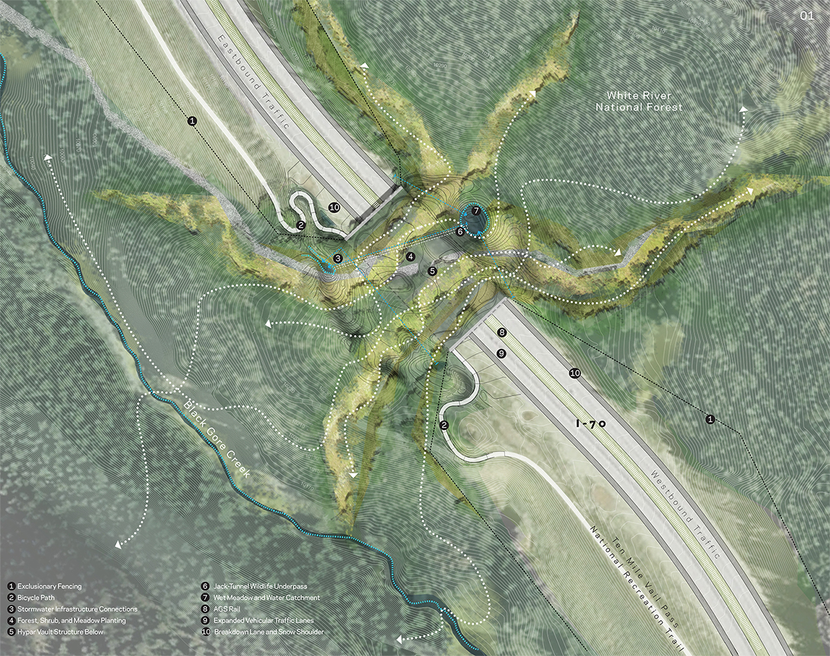 A detailed rendering of how the wide-span wildlife crossing enables species to use different parts of the crossing, avoiding inter-species conflict.