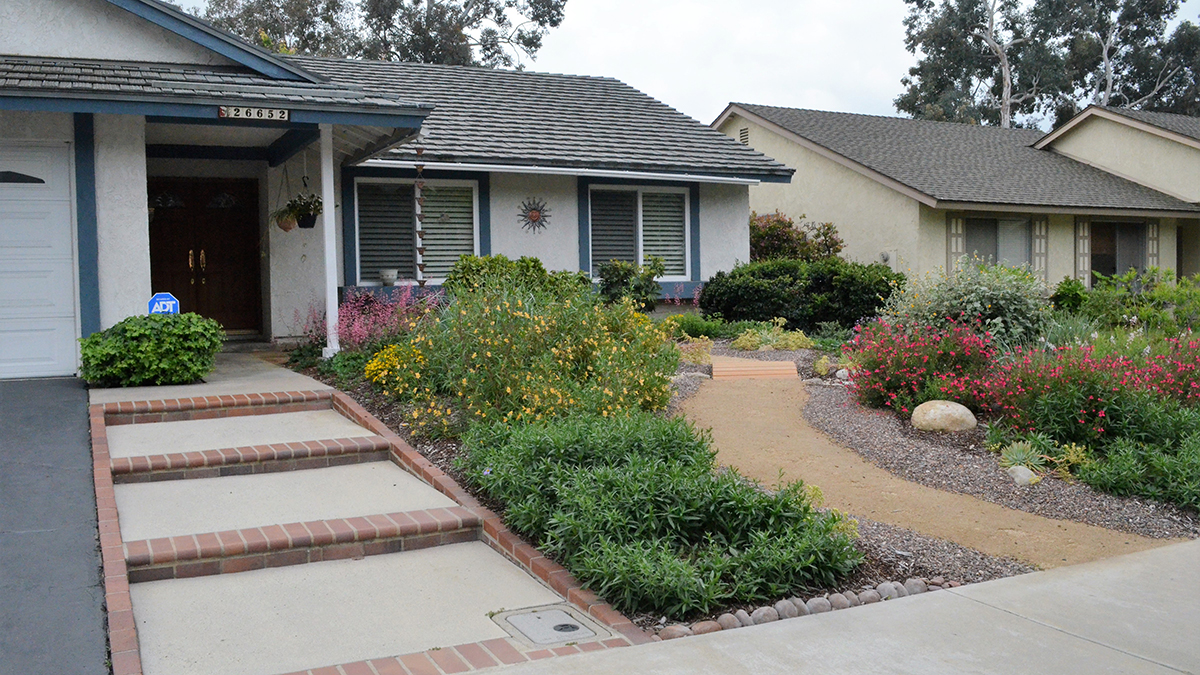 A home in Orange County, California, features a native plant garden that winds alongside the path to the front door. The garden captures stormwater and reduces water use.