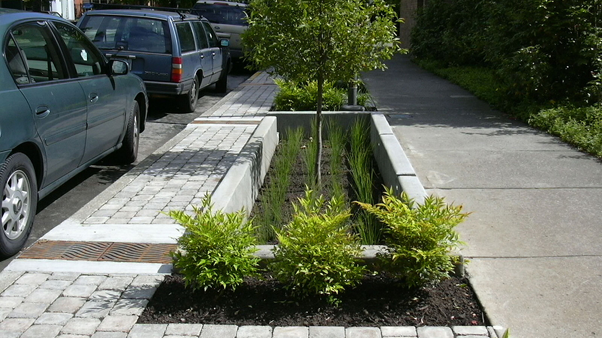 Just after the project’s completion in 2005, the SW 12th Avenue Green Street introduces a new high-performance landscape and better overall pedestrian circulation throughout the site.