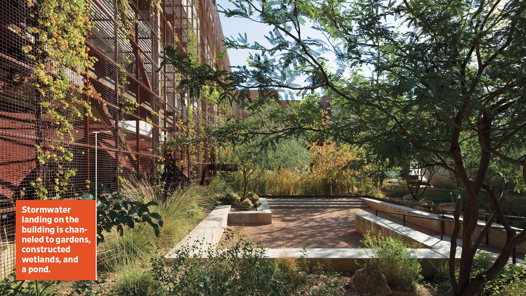 Nestled between water harvesting desert arroyos and beneath a mesquite bosque, a sunken court composed of permeable stabilized decomposed granite serves as both classroom and informal gathering space. The constructed wetland is shown in the background.