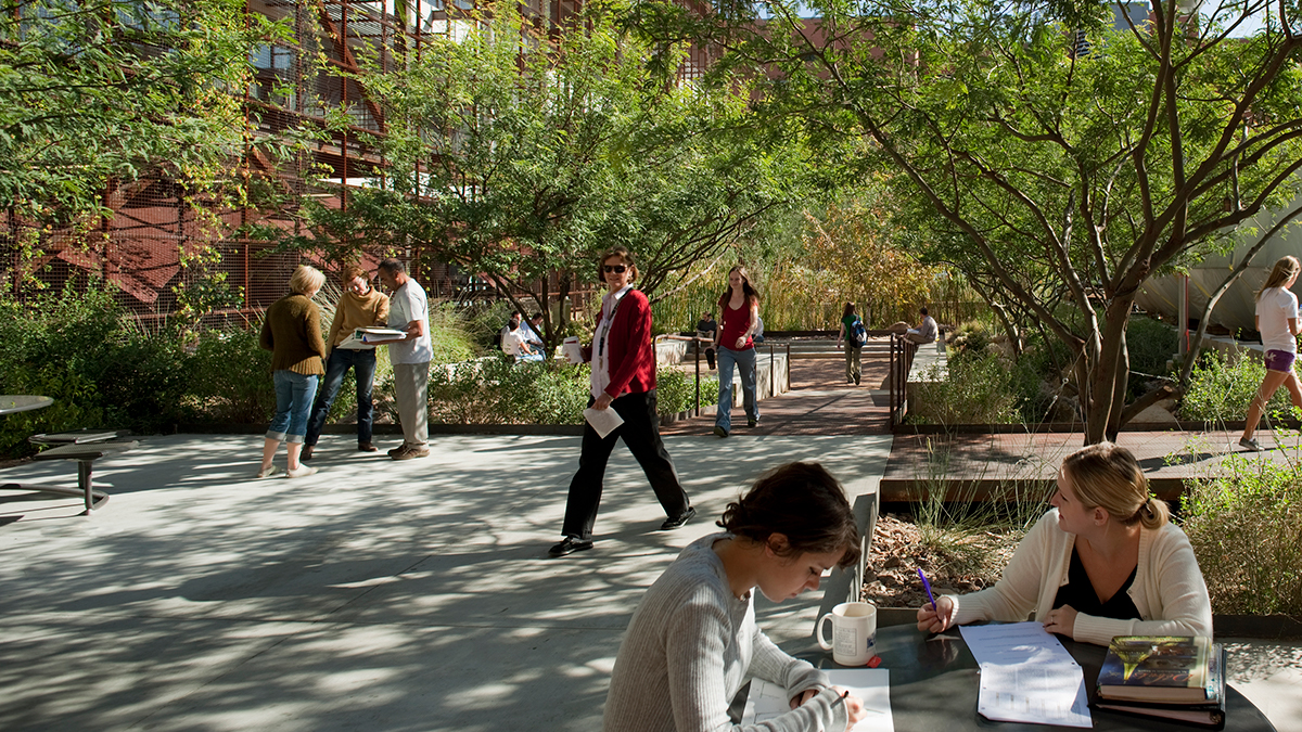 The Sonoran Landscape Laboratory is a high-performance landscape functioning as both an outdoor classroom and entry plaza. Dappled shade draws students outside, strengthening their connection between program studies and the natural environment.